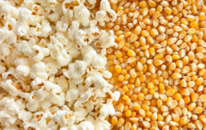 Popcorn and unipopped dry corn together
