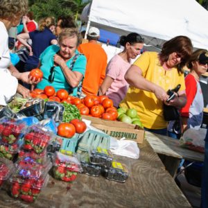 Shoppers browse a farmers' market