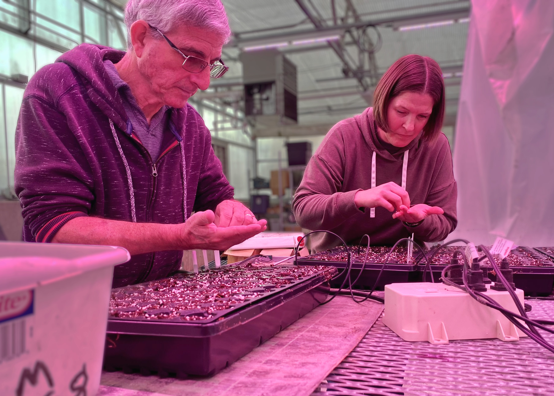 A man and woman plant seeds in trays inside a greenhouse