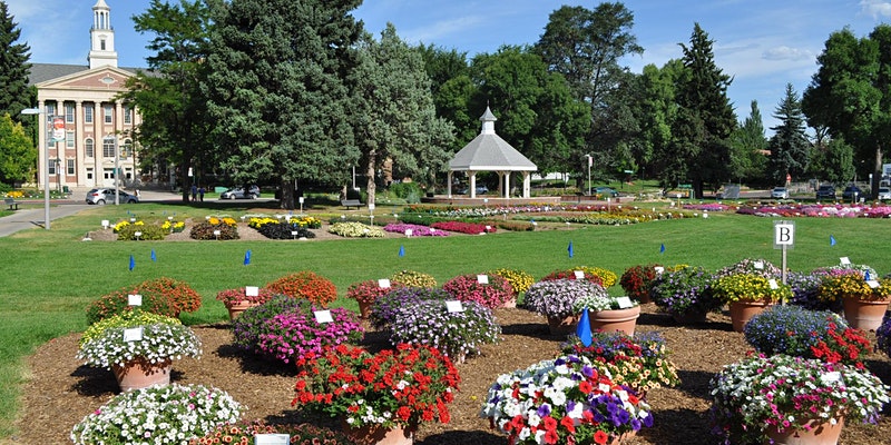 The trial gardens at Colorado State University