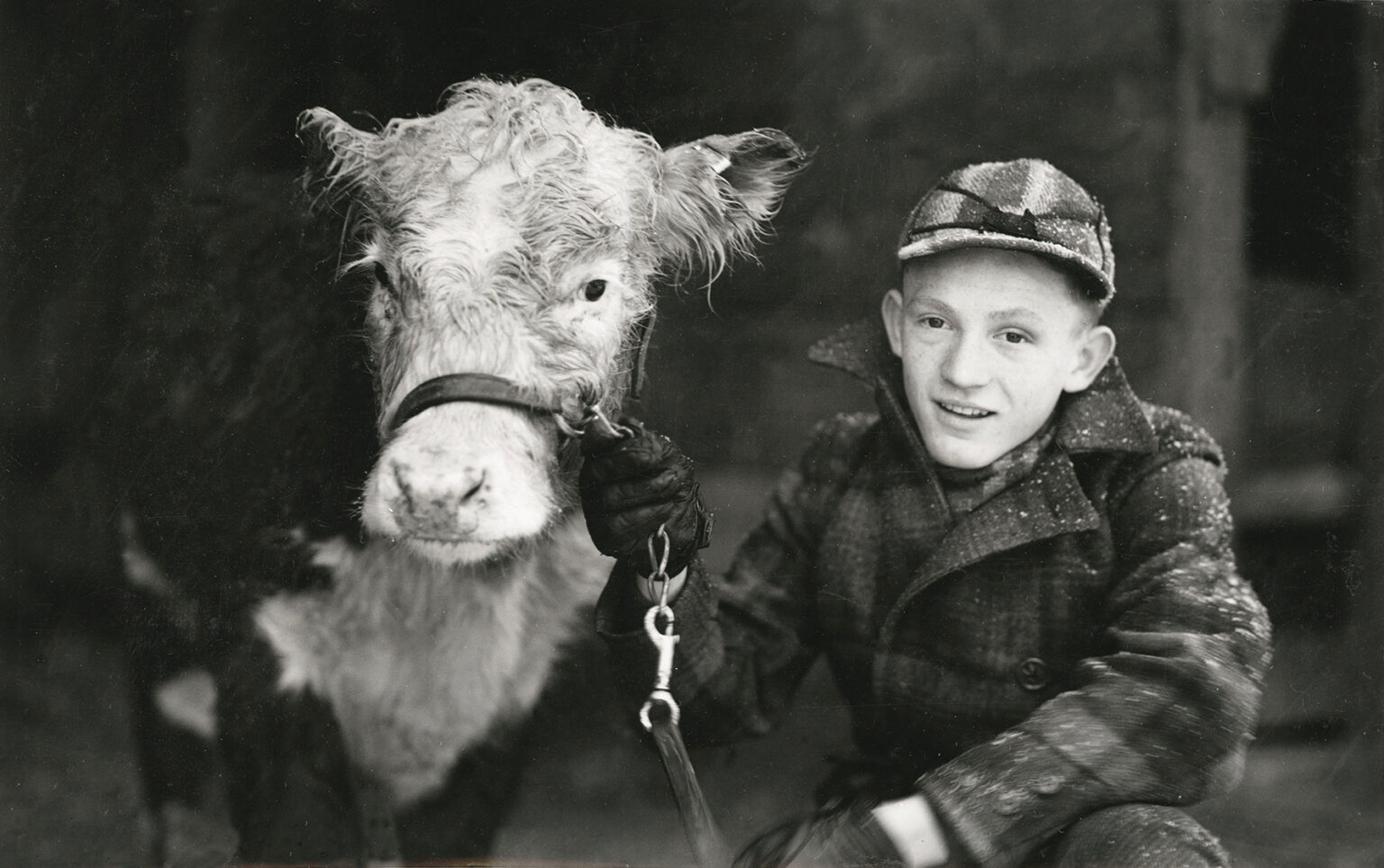 4-Her Benny Shader won a calf and a trip to Hollywood. Photo: CSU Archives & Special Collections