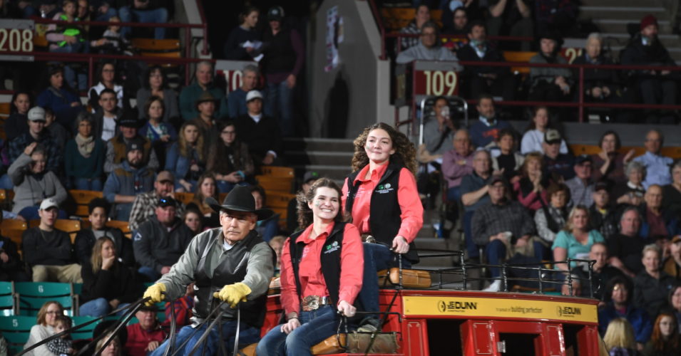 4-H participants ride on a horse and buggy at the national western stock show