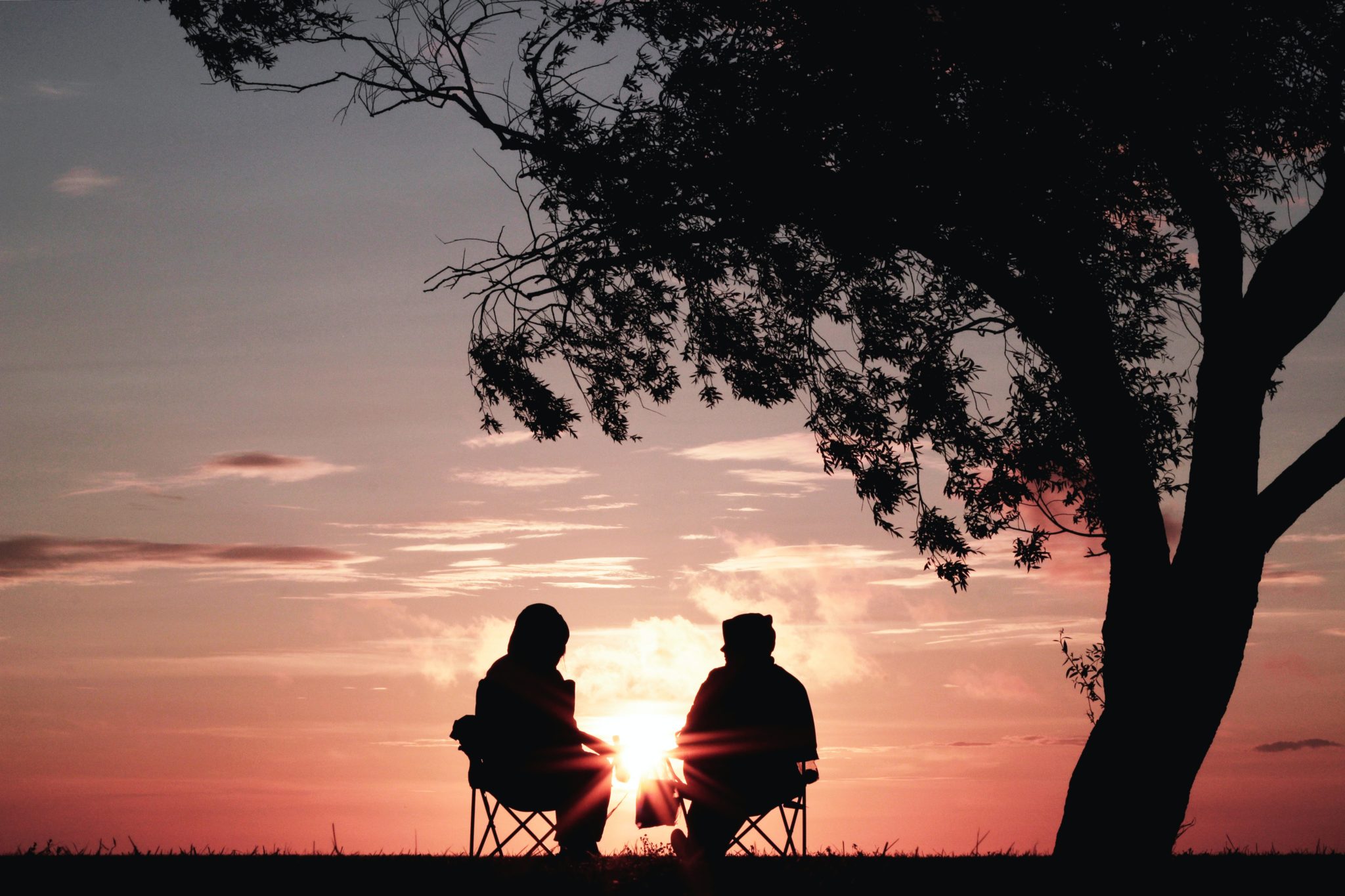 Two people sit in chairs in front of the sunset with a large tree beside them