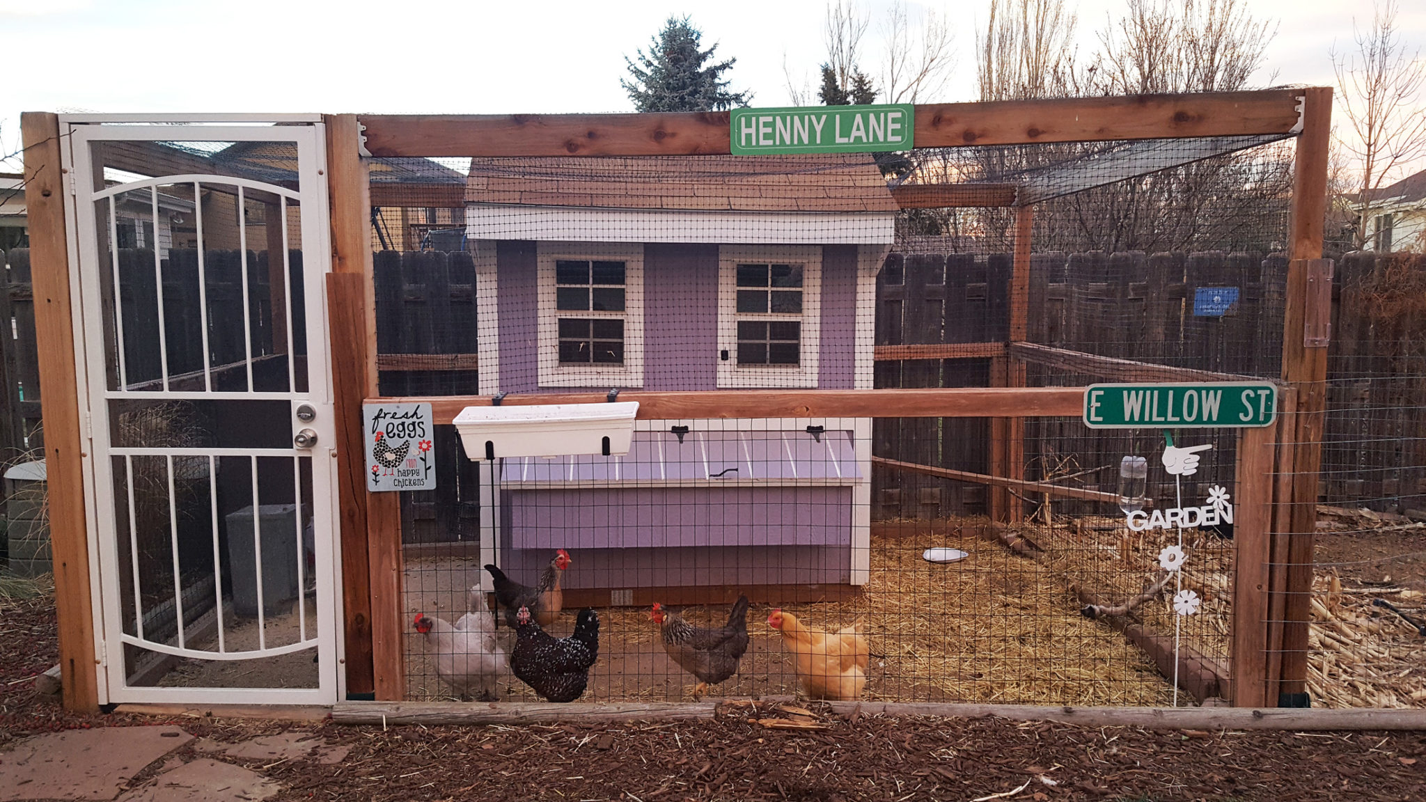 The Henry Lane chicken coop