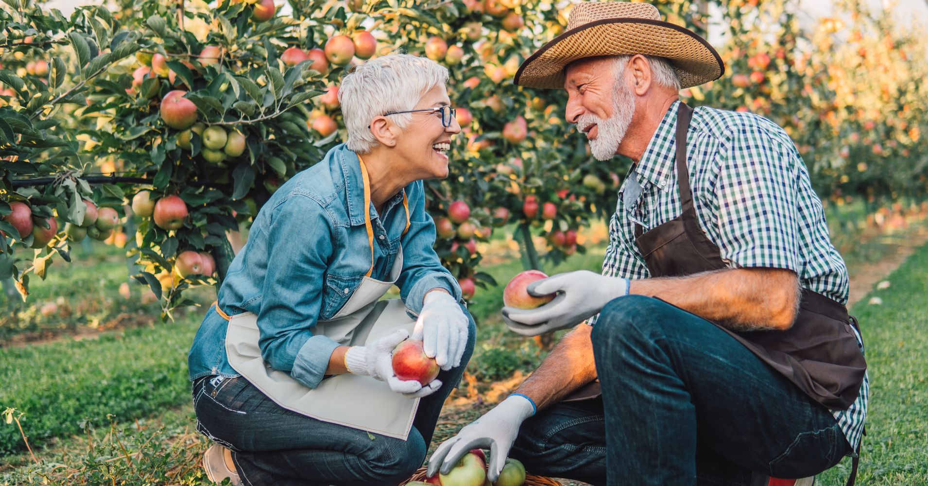 A man and a woman smile at each other while picking apples