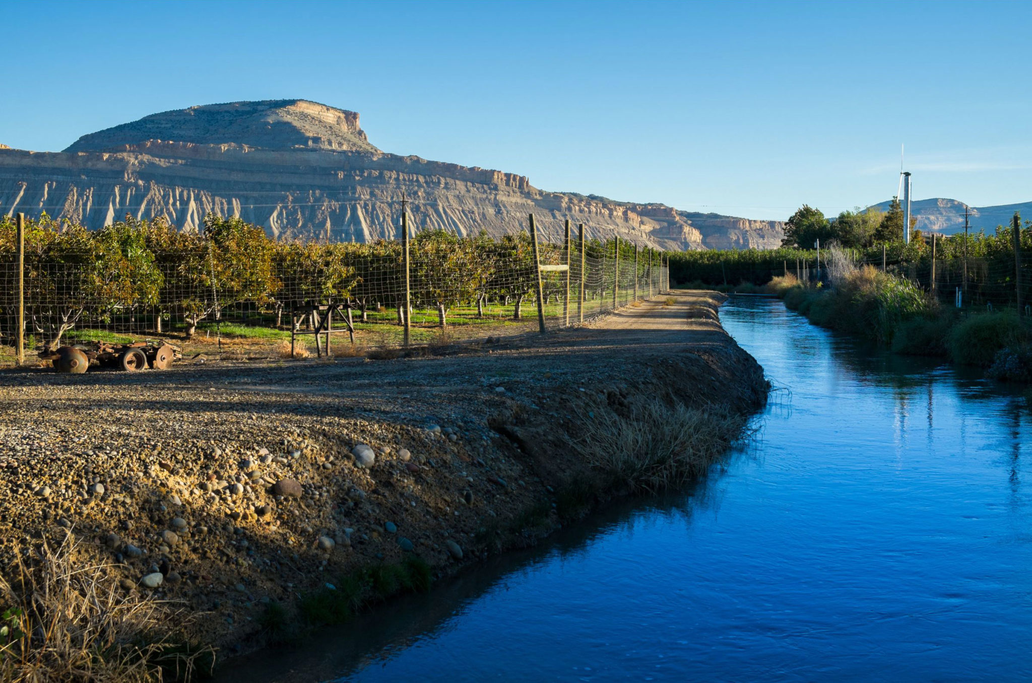 Irrigation water flows beside a peach orchard in Palisade, Colorado.