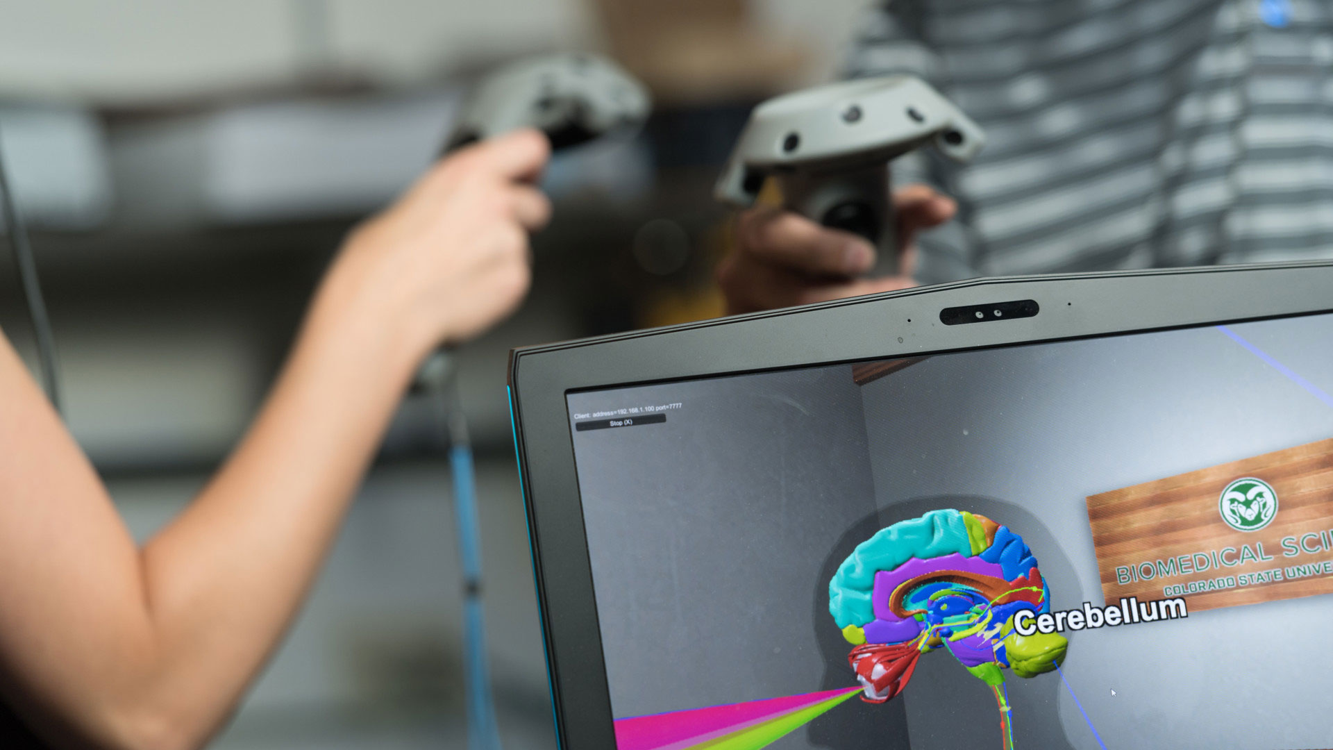 A computer screen showing a VR brain with students hands on VR controllers in the background