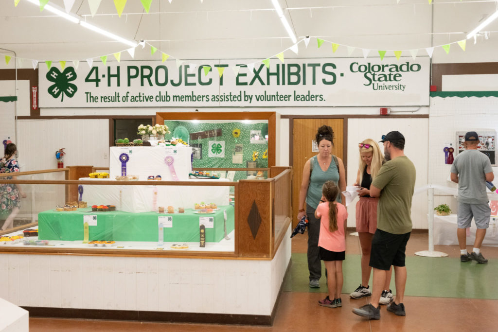 4-H project exhibits at the Colorado State Fair
