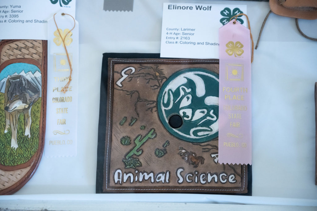 4-H Exhibits at the Colorado State Fair