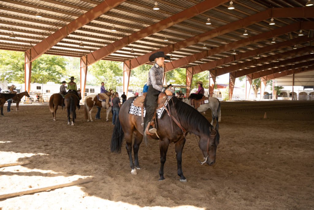 Horseback riding competitions at the Colorado State Fair