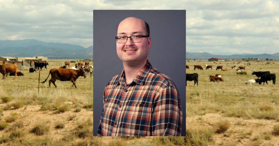 A portrait of Stephen Lauer overlaid on a field with cows and mountains in the background
