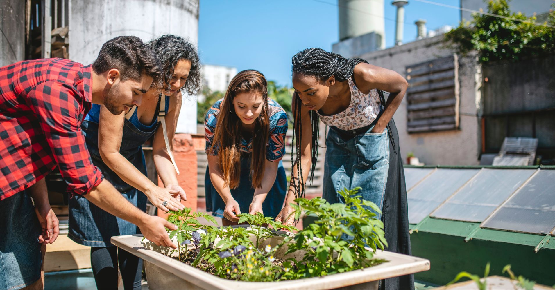 Youth and an adult gather around a small container garden on an urban rooftop