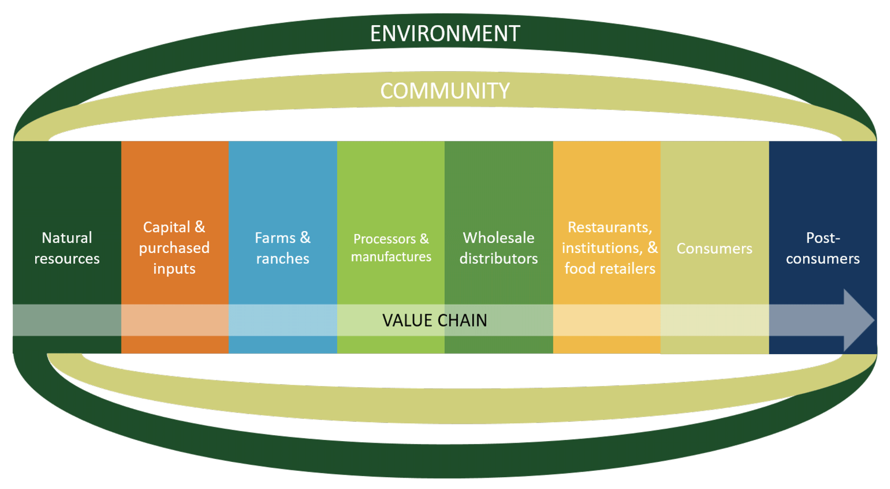 A graphic showing the 8 focus areas of food systems