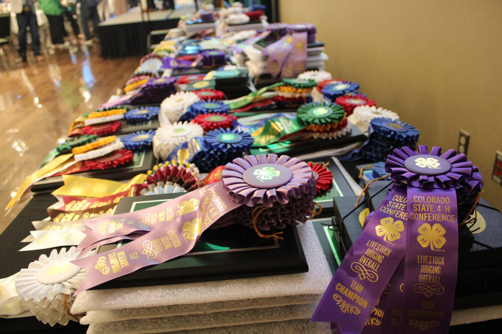 Table piled high with ribbons and plaques to be distributed to award winners