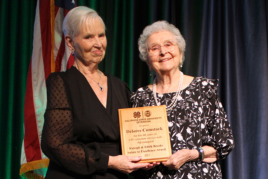 Edith Brooks stands with Delores Comstock, recipient of the Brooks Salute to Excellence Award, a plaque held by both women