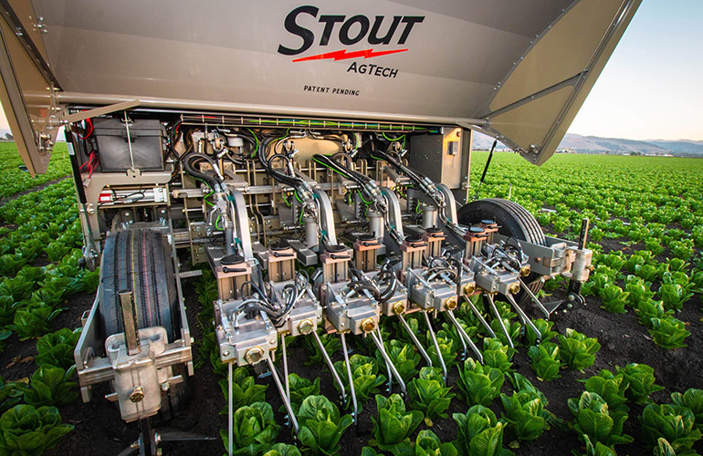 The Stout AgTech autonomous cultivator moves through a field of leafy greens
